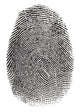 Real Fingerprint White Super