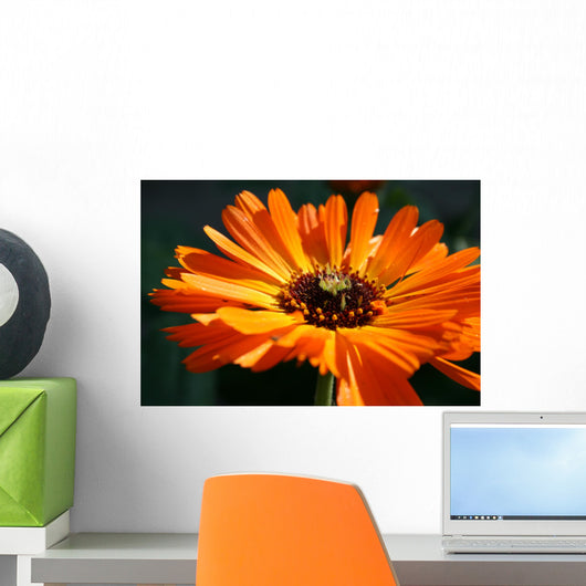 flower Wall Mural