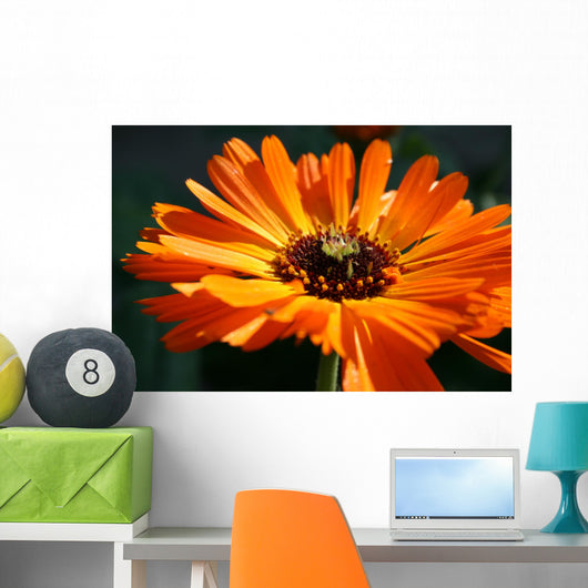 flower Wall Mural