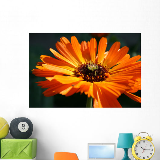 flower Wall Mural