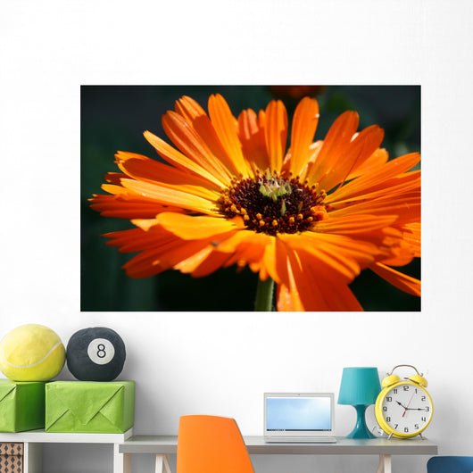 flower Wall Mural