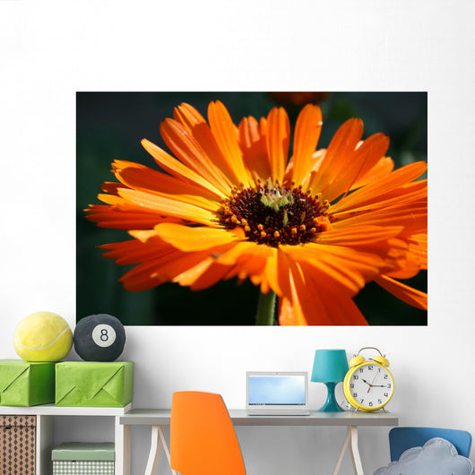 flower Wall Mural