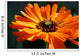 flower Wall Mural