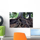 Tree Roots Wall Mural