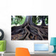 Tree Roots Wall Mural
