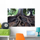 Tree Roots Wall Mural