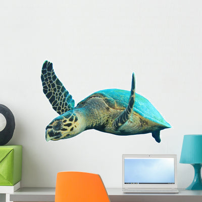 Hawksbill Sea Turtle Wall Decal shown on a wall