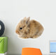 Rabbit Bunny Baby Isolated on White Background Wall Decal