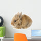 Rabbit Bunny Baby Isolated on White Background Wall Decal