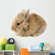 Rabbit Bunny Baby Isolated on White Background Wall Decal