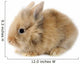 Rabbit Bunny Baby Isolated on White Background Wall Decal