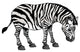 Zebra Wall Mural