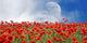 Poppies and Moon Wall Decal