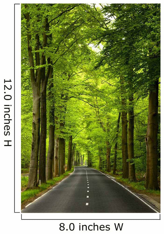 Country Road Wall Decal