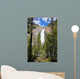 Takkakaw Falls Canadian Rockies Wall Mural