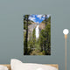 Takkakaw Falls Canadian Rockies Wall Mural