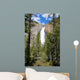 Takkakaw Falls Canadian Rockies Wall Mural