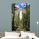Takkakaw Falls Canadian Rockies Wall Mural