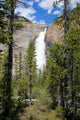 Takkakaw Falls Canadian Rockies Wall Mural