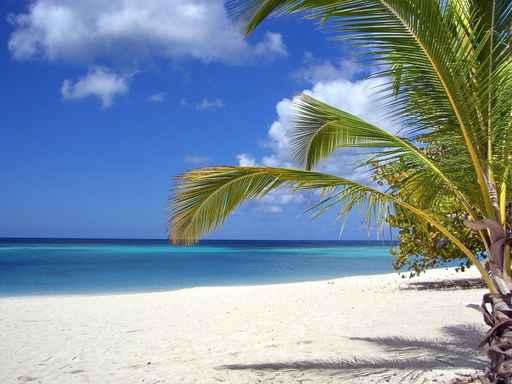 Insel Saona Wall Decal