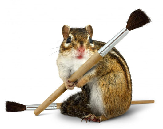 Funny Chipmunk Hold Paint Wall Mural