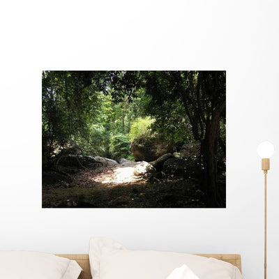 Cambodia Jungle Wall Decal shown on a wall