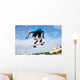 Jumping Skateboarder Wall Decal