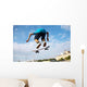 Jumping Skateboarder Wall Decal