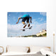 Jumping Skateboarder Wall Decal