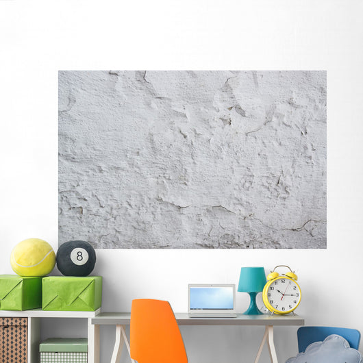 Texture Walls Whitewashed Wall Mural