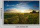 Field Wheat and Sunset
