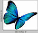 Turquoise Butterfly Flying White Wall Decal