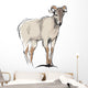 mountain goat Wall Decal