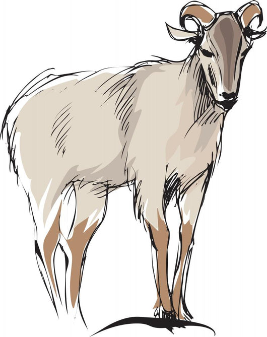 mountain goat Wall Decal