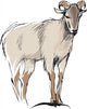 mountain goat Wall Decal