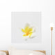 Plumeria Wall Mural