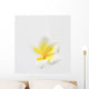 Plumeria Wall Mural