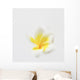 Plumeria Wall Mural