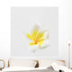 Plumeria Wall Mural
