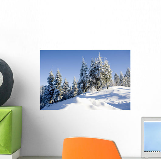 sunny day in winter Wall Mural