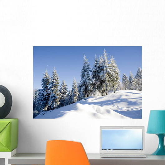 sunny day in winter Wall Mural