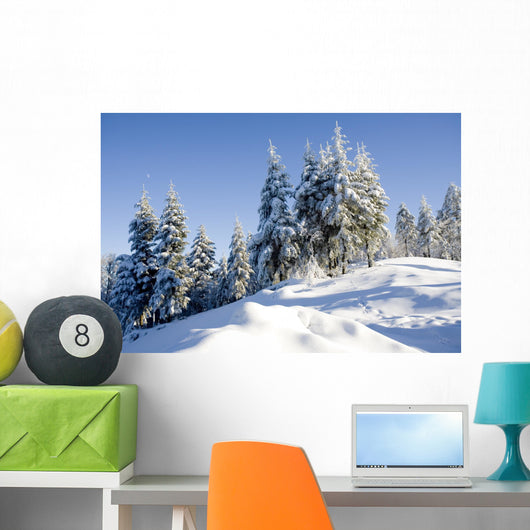 sunny day in winter Wall Mural