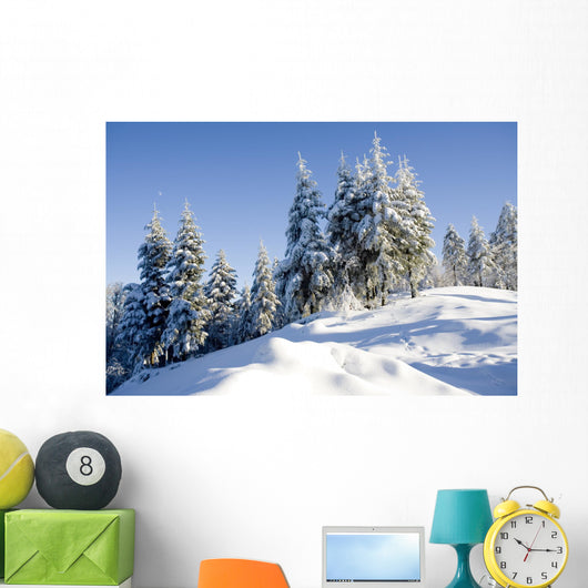 sunny day in winter Wall Mural