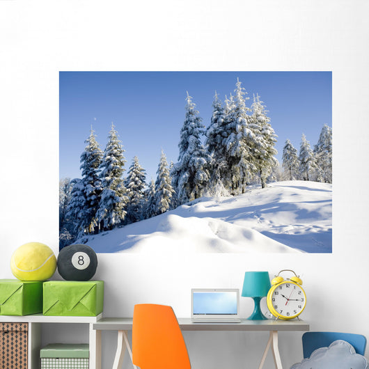 sunny day in winter Wall Mural