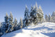 sunny day in winter Wall Mural