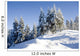 sunny day in winter Wall Mural