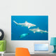 Blacktip Reef Sharks Wall Mural