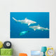 Blacktip Reef Sharks Wall Mural
