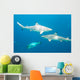 Blacktip Reef Sharks Wall Mural