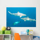 Blacktip Reef Sharks Wall Mural